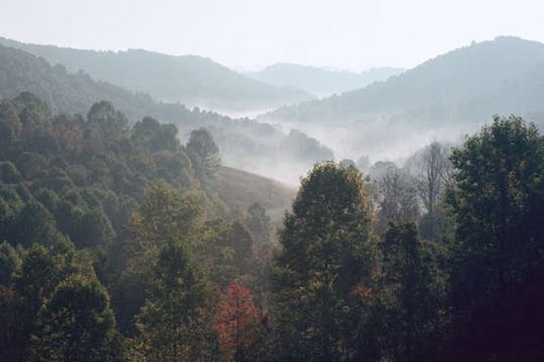 A scenic view of fog settling in West Virginia valleys.